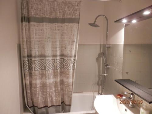 La salle de bains est pourvue d'un rideau de douche et de toilettes. dans l'établissement Arcachon centre 300m plage 50m gare SNCF, à Arcachon