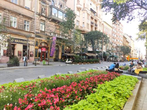 Broadway City Center, Fully Equipped, 4 Person 1065 Budapest, 32 Nagymező utca kép - 3