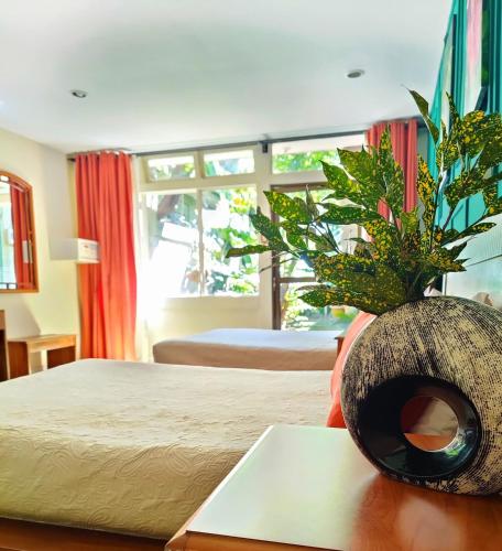a bedroom with a bed and a plant on a table at Hotel Aranjuez in San José
