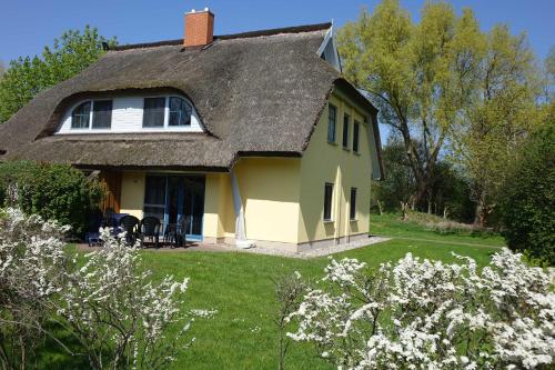Gallery image of Reetdachhaus Weißdorn 1 in Puddemin