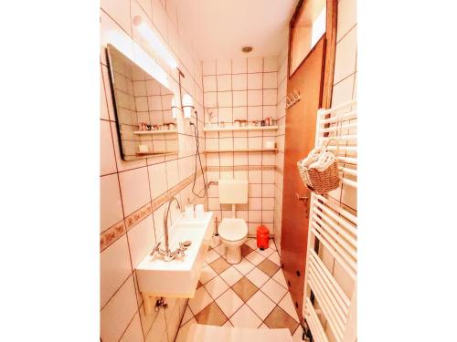 a bathroom with a sink and a toilet in it at Apartma Stanka in Bistrica ob Sotli