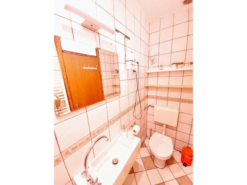 a white bathroom with a toilet and a sink at Apartma Stanka in Bistrica ob Sotli