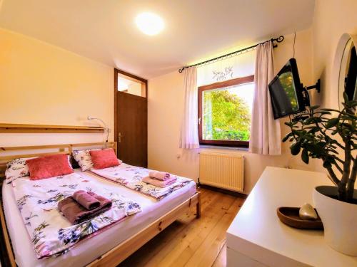 a bedroom with a bed and a tv and a window at Apartma Stanka in Bistrica ob Sotli