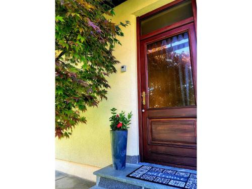 a door to a house with a potted plant next to it at Apartma Stanka in Bistrica ob Sotli
