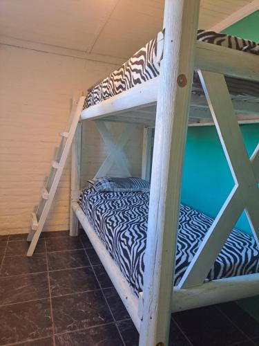 a couple of bunk beds in a room at Complejo Las Palmeras Casa 1 in San Clemente del Tuyú