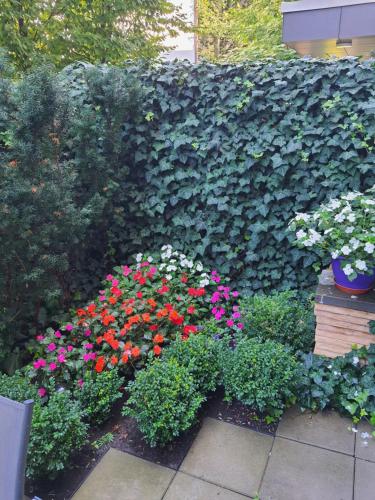 a garden with flowers and a green hedge at Apartamenty Dom Saski 10 minut od Centrum Warszawy in Warsaw