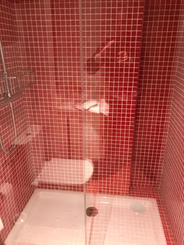 uma casa de banho com uma cabina de duche em vidro e um WC. em Piso Casco Histórico Baiona em Baiona
