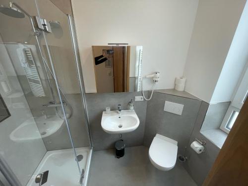 a bathroom with a shower and a sink and a toilet at Lothringer Hof in Saarlouis