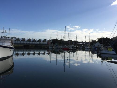 Eine Gruppe von Booten liegt in einem Hafen vor Anker. in der Unterkunft Pembrooke Motor Lodge in Whangarei