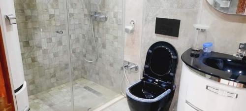 Un baño con ducha, inodoro y lavabo. en MAISON RITEl 5, en Taguermess