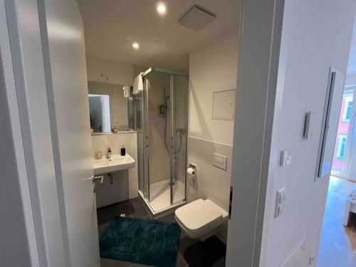 a bathroom with a shower and a toilet and a sink at New Business Apartment Nr.15 in Dresden