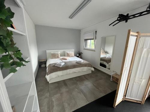 - une chambre avec un lit et un grand miroir dans l'établissement Le nid de Salsa, à Walferdange