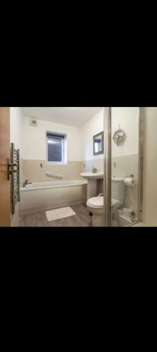 a bathroom with a toilet and a sink and a tub at Glasshoughton Platinum in Castleford