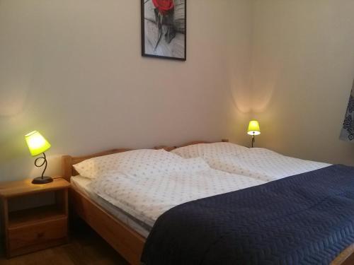 a bedroom with a bed and two lamps on tables at Apartament Górski Lux in Krynica Zdrój