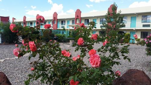a group of red flowers in front of a building at Days Inn by Wyndham Santa Fe New Mexico in Santa Fe