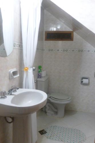 a bathroom with a sink and a toilet at Edificio Ambay Roga in Asuncion