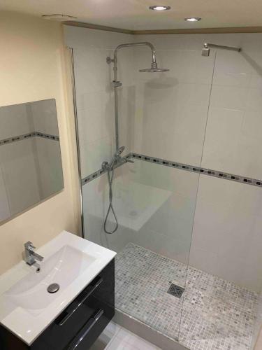 une salle de bain avec une douche en verre et un lavabo dans l'établissement OPEN 24 7 Apartment parking 15' PARIS 3' ATHLETICA, à Saint-Gratien