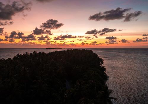 an island in the ocean with a sunset at Tropical Tree in Fehendhoo
