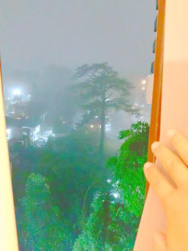 バギオにあるCozynest Condotel Baguioのギャラリーの写真