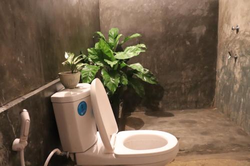 a bathroom with a toilet with a plant on it at Yellow Tree Thudugala in Kalutara