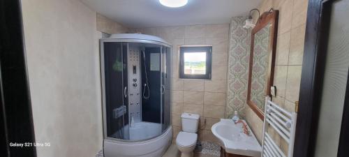 a bathroom with a shower and a toilet and a sink at Vila Catalina in Baia Mare