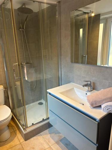 een badkamer met een douche, een wastafel en een toilet bij Ange appart in Dijon