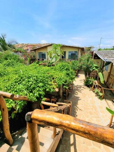 uma vista para um jardim com plantas e um edifício em Bright Bungalow 4 - Close to ocean em Zorritos