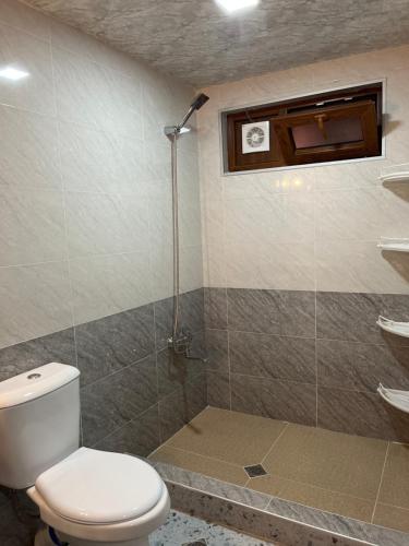 a bathroom with a toilet and a shower at Guest House MIRA in Martvili