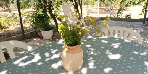 Κήπος έξω από το Dependance Villa Grazia