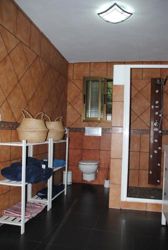 a bathroom with a toilet and a sink in it at Casa La Pechá, Ronda (Málaga) in Ronda