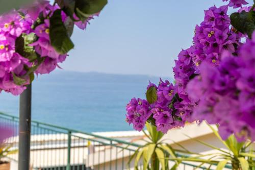 a bunch of purple flowers with the ocean in the background at Beachfront Comfort Apartment NIVES in Tučepi