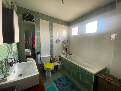 une salle de bain avec une baignoire, des toilettes et un lavabo dans l'établissement Agréables chambres dans maison suspendue, à Saint-Étienne
