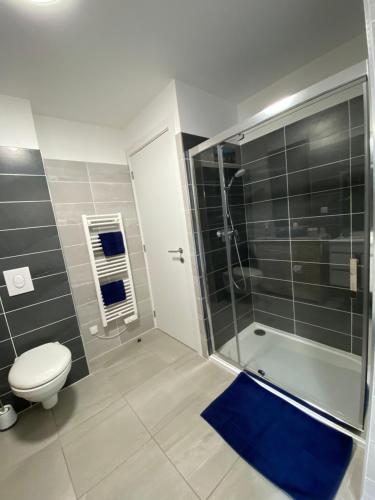 La salle de bains est pourvue d'une douche, de toilettes et d'un tapis bleu. dans l'établissement Stella mare à porticcio, à Porticcio