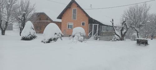 Το Holiday home Vuković τον χειμώνα