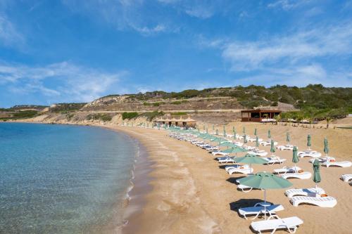 a beach with chairs and umbrellas and the ocean at Blue Sea Karpasia Hotel in Rizokarpaso