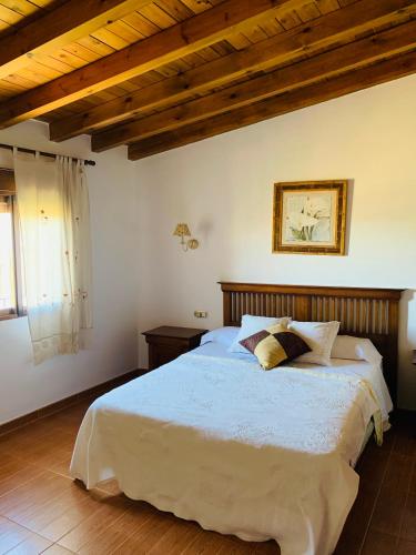 a bedroom with a large bed with a wooden ceiling at Venta Judio in Purchena