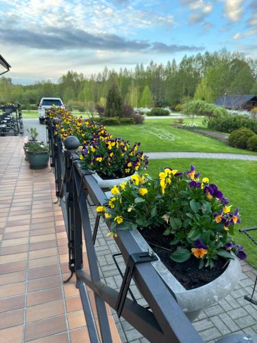 a row of flower pots on a fence at Vila Viesai in Trakai