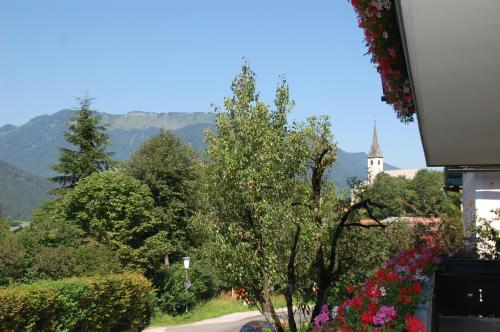 Blick auf eine Straße mit Bäumen und Blumen in der Unterkunft Gästehaus Sunkler in Golling an der Salzach