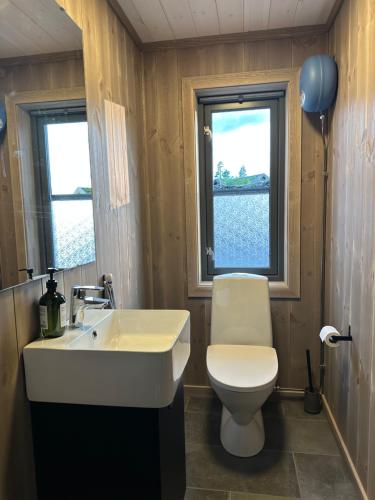 a bathroom with a toilet and a sink and two windows at Helårs moderne familiehytte med wifi, billader, ski inn, ski ut og utmerket beliggenhet in Drangedal