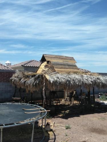 Palapa cabin – Photos 5