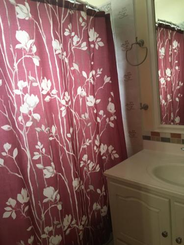 a bathroom with a red shower curtain with white flowers at Antigua Seaview in Saint Johnʼs