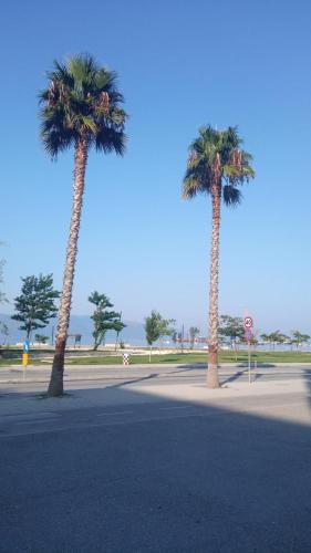 PALMS & SUNSET GUEST HOUSE - Imazhi 4