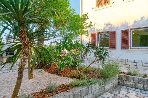 a palm tree in a garden next to a house at Apartment Pepermint - near Ljubicic Tennis Academy in Veli Lošinj