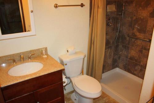 a bathroom with a toilet and a sink and a shower at 2 bedroom, 2 bath, sleeps 6 adults West End of Donner Lake DLR#021 in Truckee