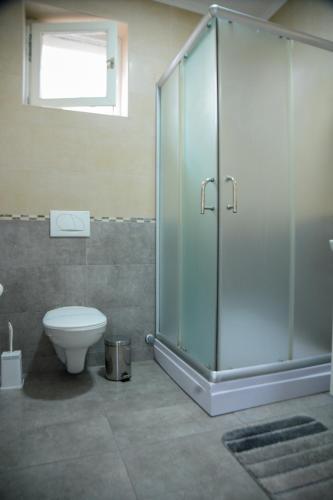 a bathroom with a toilet and a glass shower at Apartman Centar in Sremski Karlovci