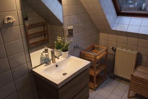 a bathroom with a sink and a mirror at Ferienwohnung-Nils-Holgerson-mit-Balkon-zwischen-Strand-Wald-Wiese-im-Suedosten-der-Insel-Ruegen in Gustow
