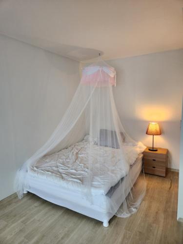 a bedroom with a bed with a mosquito net at Urbanspace Pohang in Pohang