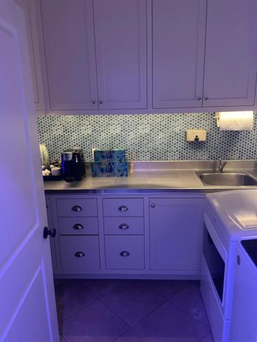 a white kitchen with purple cabinets and a sink at Moose Manor Guest Suite - Houston in Houston