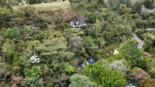 an aerial view of a house in a forest at Ecoluxury Glamping in San Antonio de Pereira