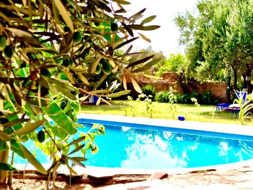 a swimming pool in a yard with a tree at Le Domaine de Carole Marrakech in Akkara
